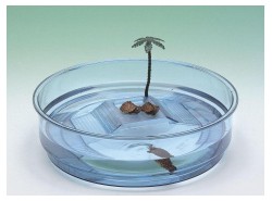 Ferplast oasi azzurra tartarughiera  