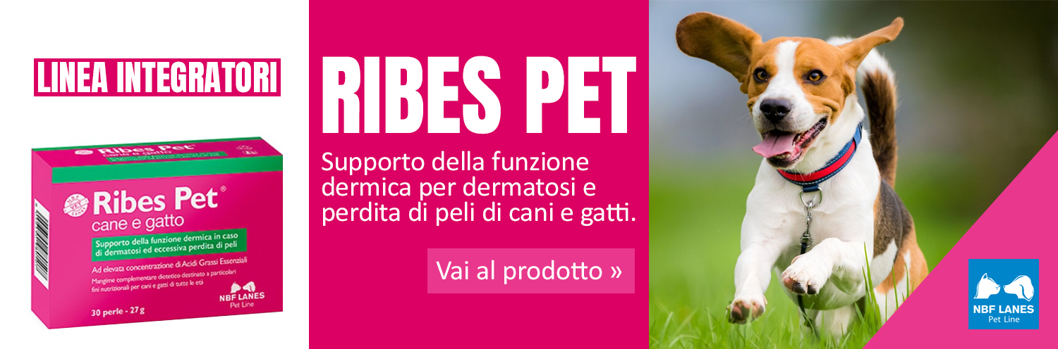 Ribes Pet