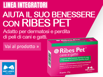 Ribes Pet